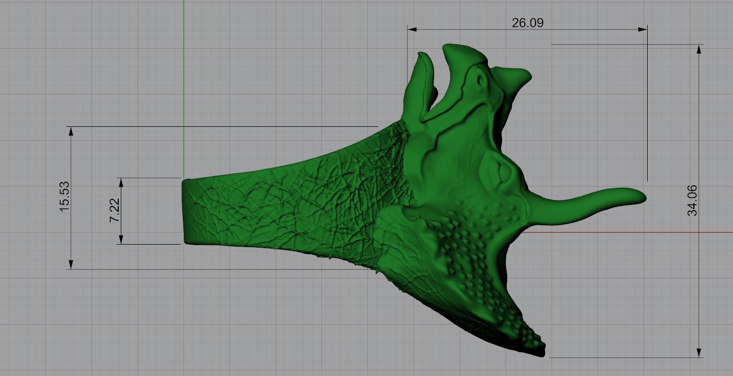 Detailed Triceratops Skull Ring — view 2