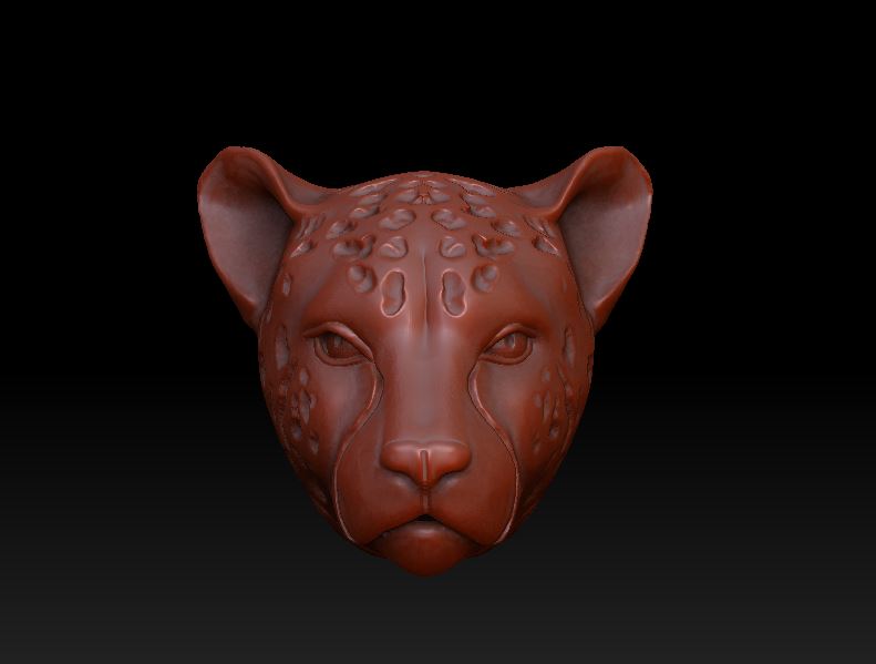 Sleek Cheetah Head Overlay Design