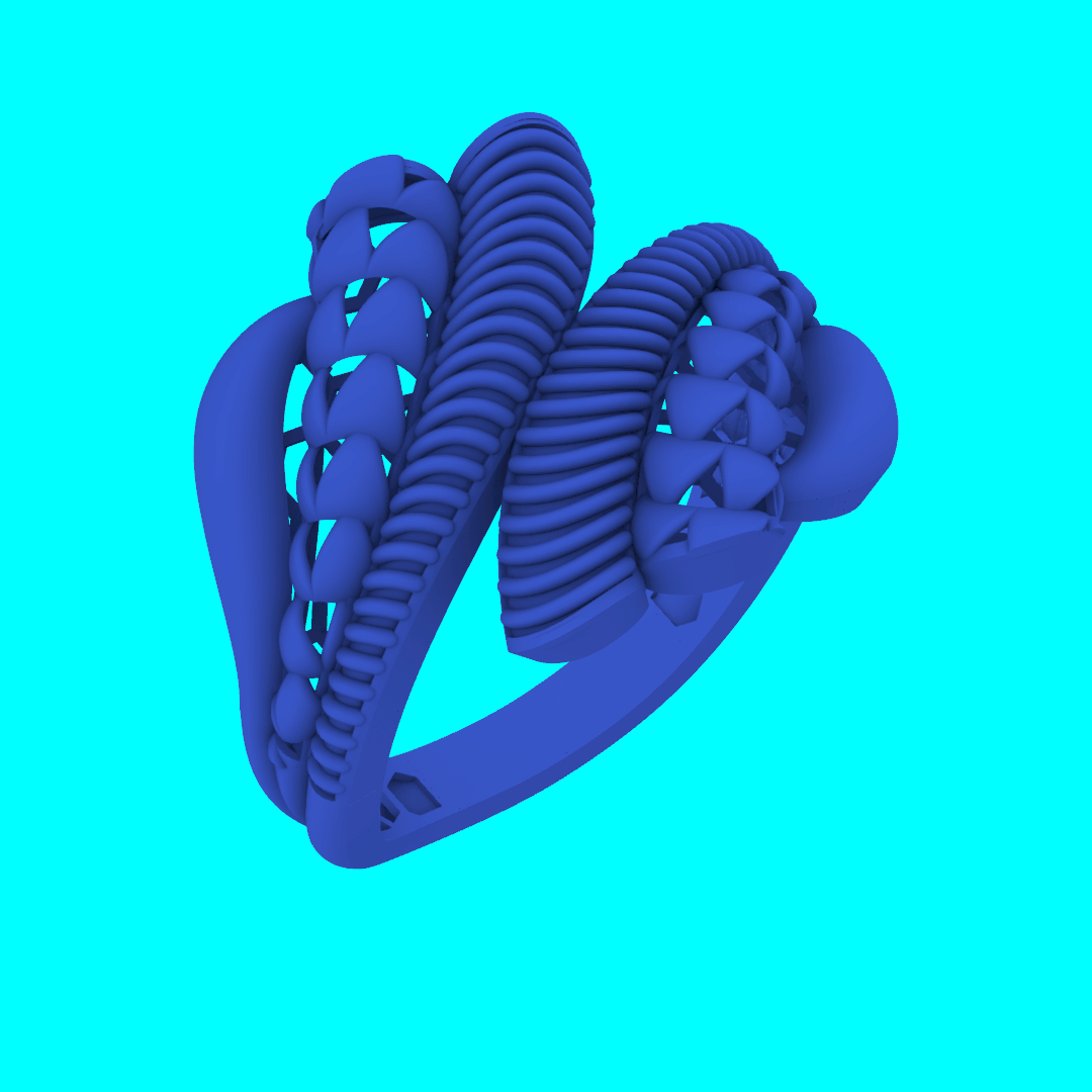 Abstract Bypass Ring with Braided and Ribbed Top