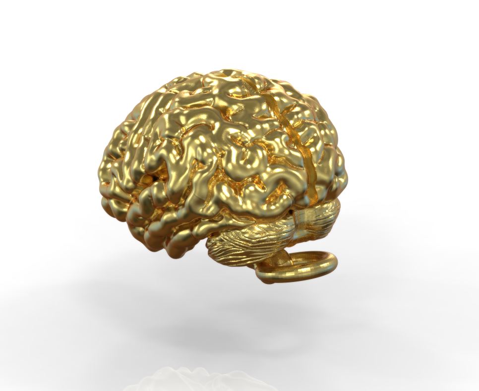 Anatomical Brain Pendant Unique