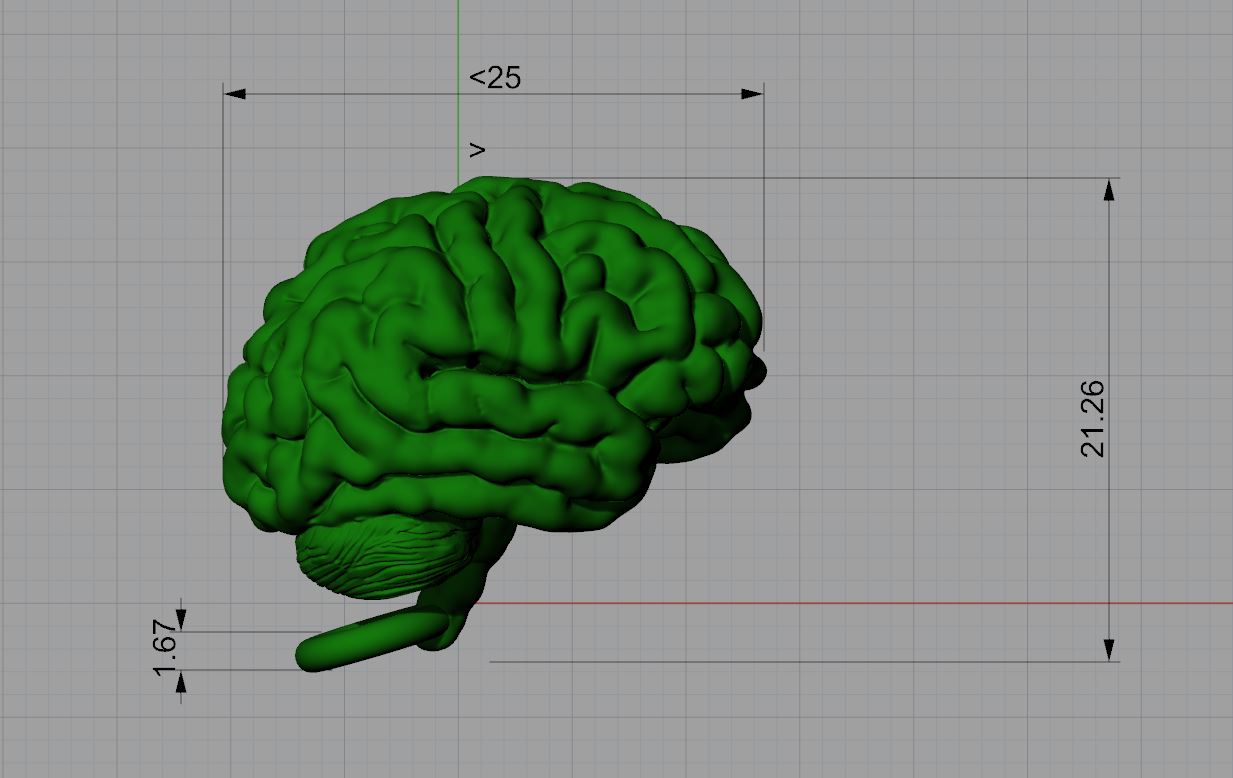 Anatomical Brain Pendant Unique — view 5