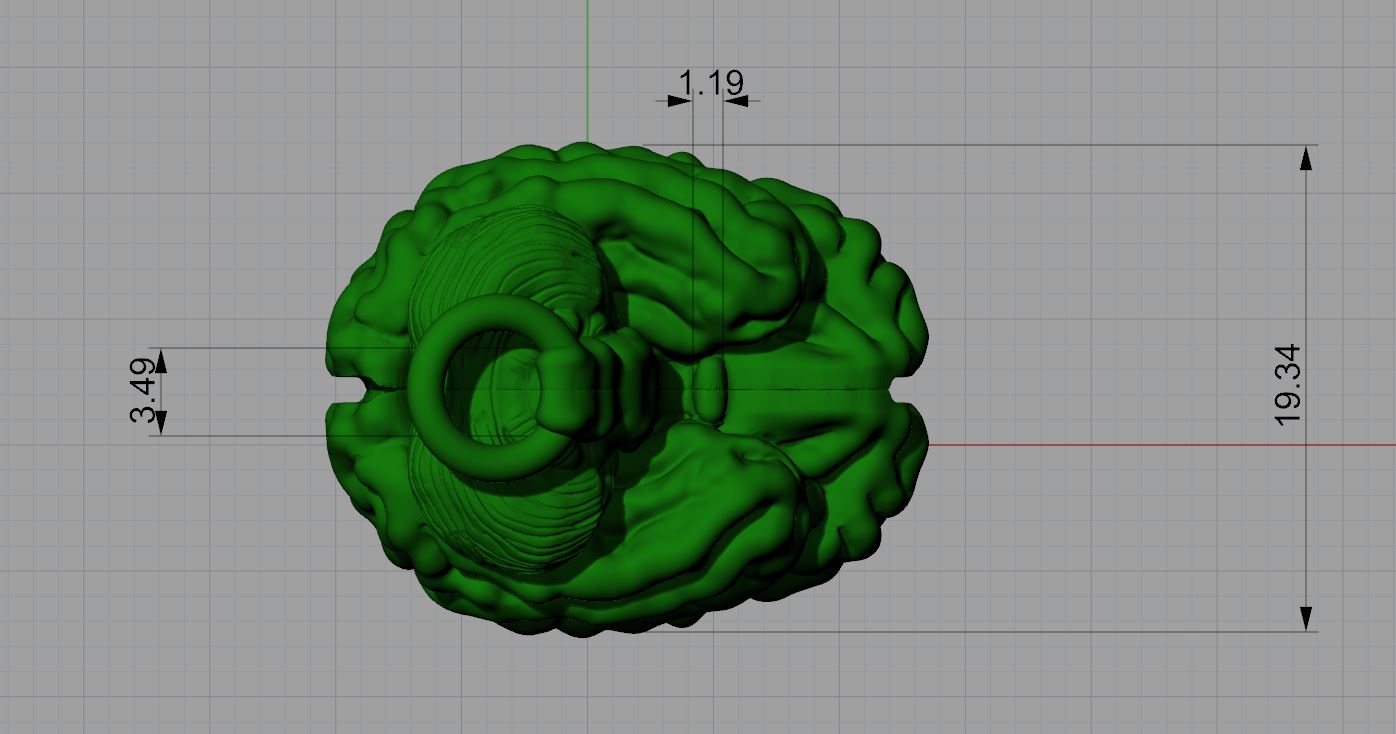 Anatomical Brain Pendant Unique — view 7