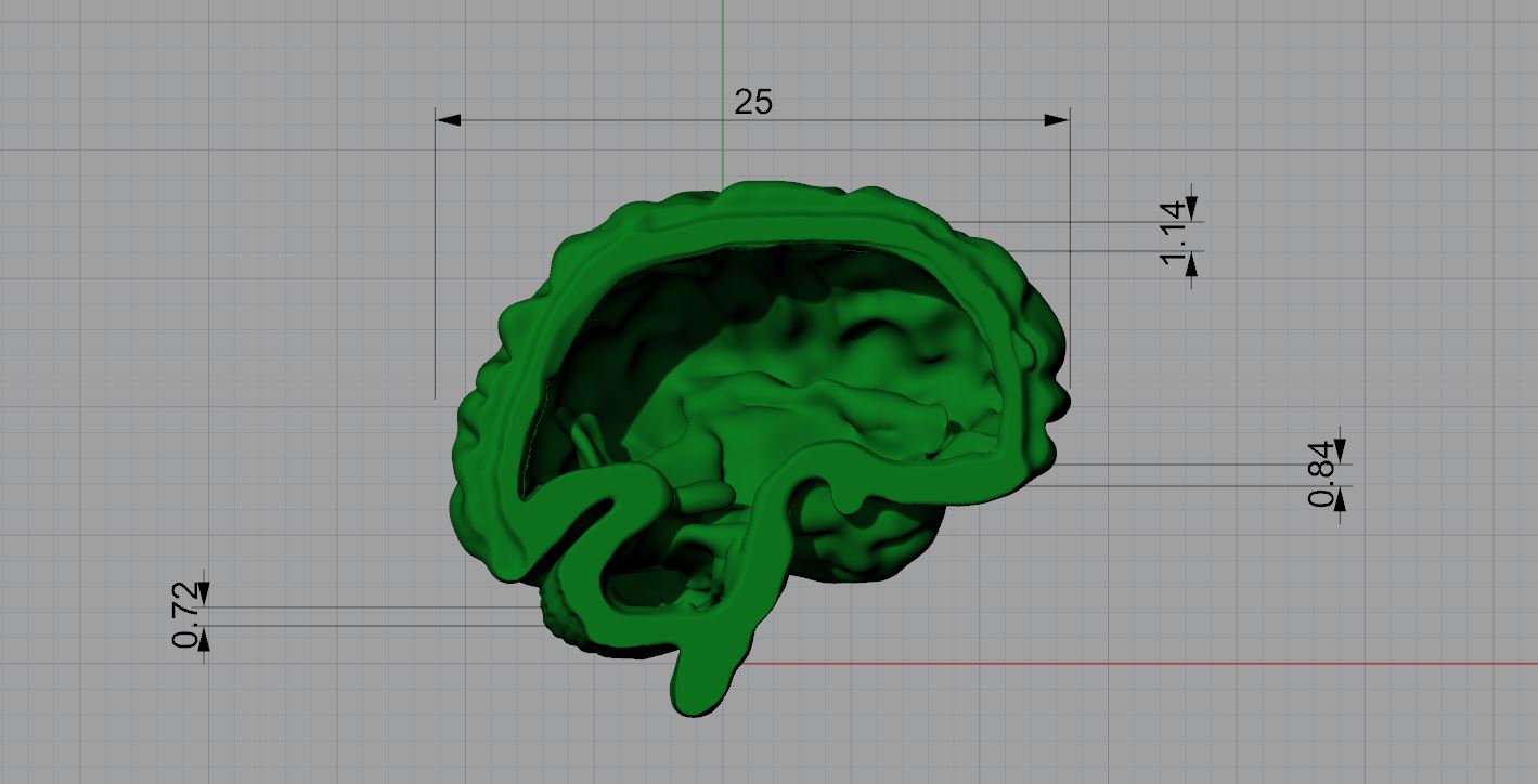 Anatomical Brain Pendant Unique — view 6
