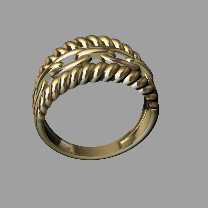 Interlocking Link Double Rope Detail Ring