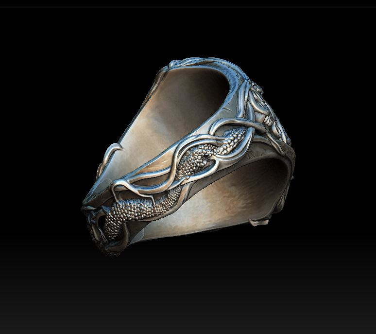 Fantasy Heraldry Signet Ring with House Sigils — view 3