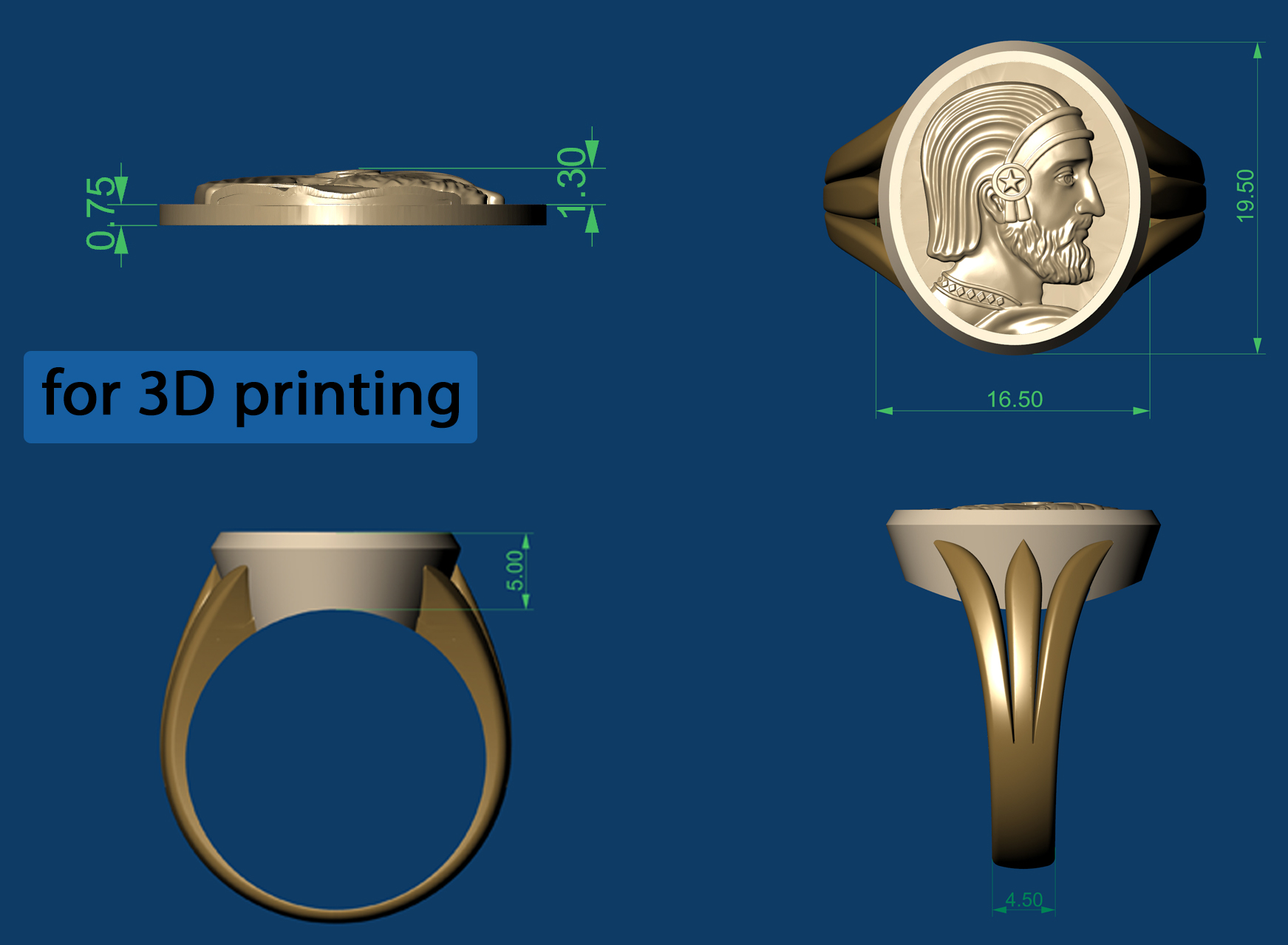 Mens Persian Cyrus The Great Relief Ring 3D Model STL — view 7